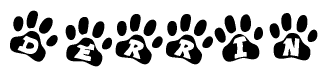 The image shows a series of animal paw prints arranged in a horizontal line. Each paw print contains a letter, and together they spell out the word Derrin.