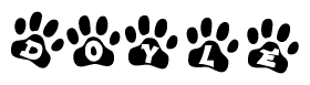 The image shows a series of animal paw prints arranged in a horizontal line. Each paw print contains a letter, and together they spell out the word Doyle.