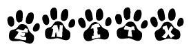The image shows a row of animal paw prints, each containing a letter. The letters spell out the word Enitx within the paw prints.