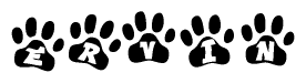 The image shows a series of animal paw prints arranged in a horizontal line. Each paw print contains a letter, and together they spell out the word Ervin.