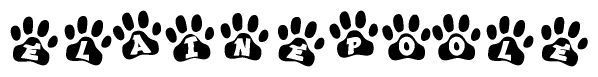 The image shows a series of animal paw prints arranged in a horizontal line. Each paw print contains a letter, and together they spell out the word Elainepoole.
