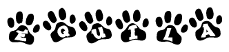 The image shows a series of animal paw prints arranged in a horizontal line. Each paw print contains a letter, and together they spell out the word Equila.