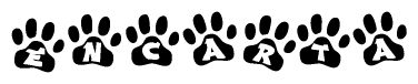 The image shows a series of animal paw prints arranged in a horizontal line. Each paw print contains a letter, and together they spell out the word Encarta.