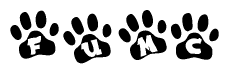 The image shows a series of animal paw prints arranged horizontally. Within each paw print, there's a letter; together they spell Fumc
