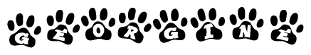 The image shows a series of animal paw prints arranged in a horizontal line. Each paw print contains a letter, and together they spell out the word Georgine.