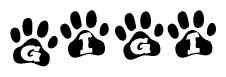 The image shows a series of animal paw prints arranged in a horizontal line. Each paw print contains a letter, and together they spell out the word Gigi.