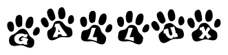 The image shows a series of animal paw prints arranged in a horizontal line. Each paw print contains a letter, and together they spell out the word Gallux.