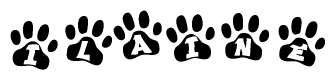 The image shows a series of animal paw prints arranged in a horizontal line. Each paw print contains a letter, and together they spell out the word Ilaine.
