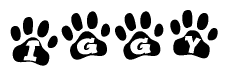 The image shows a series of animal paw prints arranged in a horizontal line. Each paw print contains a letter, and together they spell out the word Iggy.