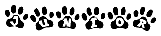 The image shows a series of animal paw prints arranged horizontally. Within each paw print, there's a letter; together they spell Junior