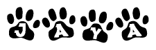 The image shows a row of animal paw prints, each containing a letter. The letters spell out the word Jaya within the paw prints.