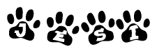 The image shows a series of animal paw prints arranged in a horizontal line. Each paw print contains a letter, and together they spell out the word Jesi.