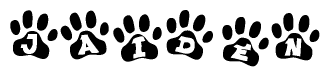 The image shows a series of animal paw prints arranged in a horizontal line. Each paw print contains a letter, and together they spell out the word Jaiden.