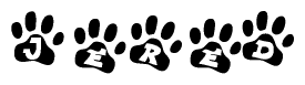 The image shows a series of animal paw prints arranged in a horizontal line. Each paw print contains a letter, and together they spell out the word Jered.