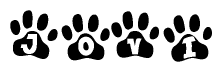 The image shows a series of animal paw prints arranged horizontally. Within each paw print, there's a letter; together they spell Jovi
