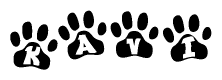 The image shows a series of animal paw prints arranged horizontally. Within each paw print, there's a letter; together they spell Kavi