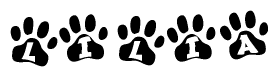 The image shows a series of animal paw prints arranged horizontally. Within each paw print, there's a letter; together they spell Lilia