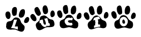 The image shows a row of animal paw prints, each containing a letter. The letters spell out the word Lucio within the paw prints.