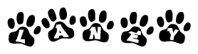 The image shows a series of animal paw prints arranged in a horizontal line. Each paw print contains a letter, and together they spell out the word Laney.