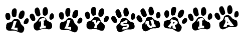 The image shows a row of animal paw prints, each containing a letter. The letters spell out the word Lilysuria within the paw prints.