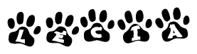 The image shows a series of animal paw prints arranged horizontally. Within each paw print, there's a letter; together they spell Lecia