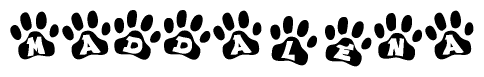 The image shows a series of animal paw prints arranged horizontally. Within each paw print, there's a letter; together they spell Maddalena