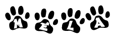 The image shows a series of animal paw prints arranged in a horizontal line. Each paw print contains a letter, and together they spell out the word Mela.