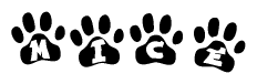 The image shows a series of animal paw prints arranged horizontally. Within each paw print, there's a letter; together they spell Mice