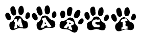 The image shows a row of animal paw prints, each containing a letter. The letters spell out the word Marci within the paw prints.