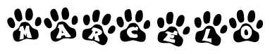 Animal Paw Prints with Marcelo Lettering