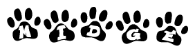 The image shows a series of animal paw prints arranged horizontally. Within each paw print, there's a letter; together they spell Midge