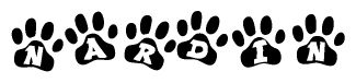 The image shows a series of animal paw prints arranged horizontally. Within each paw print, there's a letter; together they spell Nardin