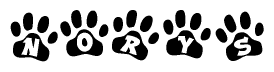The image shows a series of animal paw prints arranged horizontally. Within each paw print, there's a letter; together they spell Norys
