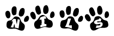 The image shows a series of animal paw prints arranged horizontally. Within each paw print, there's a letter; together they spell Nils