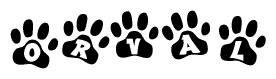 The image shows a series of animal paw prints arranged in a horizontal line. Each paw print contains a letter, and together they spell out the word Orval.