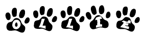 The image shows a series of animal paw prints arranged in a horizontal line. Each paw print contains a letter, and together they spell out the word Ollie.