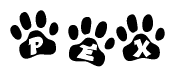 The image shows a series of animal paw prints arranged in a horizontal line. Each paw print contains a letter, and together they spell out the word Pex.