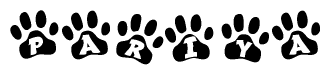 The image shows a row of animal paw prints, each containing a letter. The letters spell out the word Pariya within the paw prints.