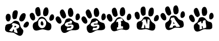 The image shows a row of animal paw prints, each containing a letter. The letters spell out the word Rossinah within the paw prints.