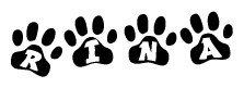 The image shows a series of animal paw prints arranged horizontally. Within each paw print, there's a letter; together they spell Rina