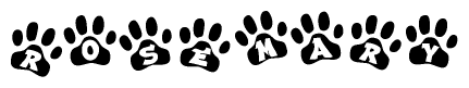 The image shows a series of animal paw prints arranged in a horizontal line. Each paw print contains a letter, and together they spell out the word Rosemary.