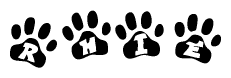 The image shows a row of animal paw prints, each containing a letter. The letters spell out the word Rhie within the paw prints.