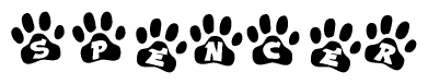 The image shows a row of animal paw prints, each containing a letter. The letters spell out the word Spencer within the paw prints.