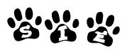 The image shows a series of animal paw prints arranged in a horizontal line. Each paw print contains a letter, and together they spell out the word Sie.