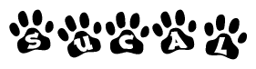 Animal Paw Prints with Sucal Lettering