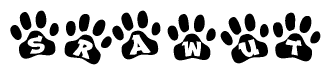 The image shows a row of animal paw prints, each containing a letter. The letters spell out the word Srawut within the paw prints.
