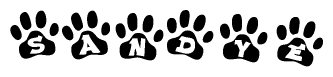 The image shows a row of animal paw prints, each containing a letter. The letters spell out the word Sandye within the paw prints.