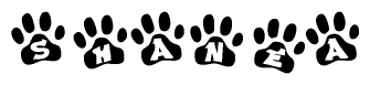 The image shows a series of animal paw prints arranged in a horizontal line. Each paw print contains a letter, and together they spell out the word Shanea.