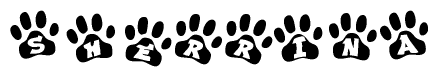 The image shows a series of animal paw prints arranged in a horizontal line. Each paw print contains a letter, and together they spell out the word Sherrina.