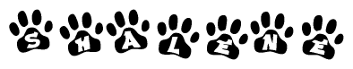 The image shows a series of animal paw prints arranged horizontally. Within each paw print, there's a letter; together they spell Shalene